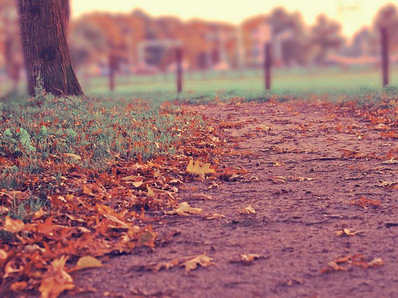 国外梯子加速VPN全球服务器覆盖地图